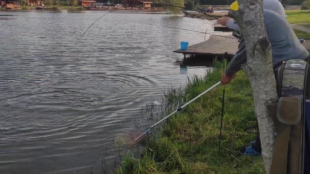 Ловля осетра РК "Марлин" смотреть онлайн