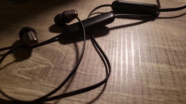 Recomiendo los Sony WI-C310 смотреть онлайн