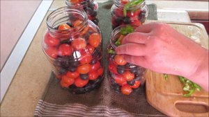 Рецепты на зиму. Маринованные помидоры со сливой (тёрном). Рекомендую!