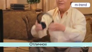 Беспроводные наушники для телевизора