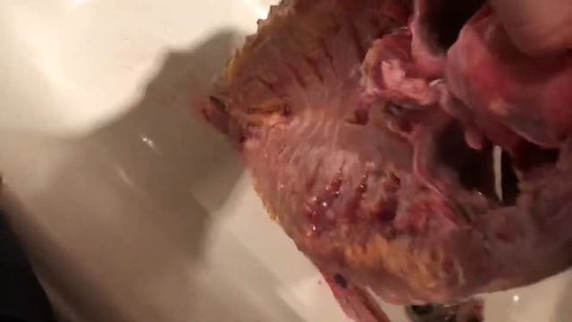 СУПЕР!!!!! балык из осетрины !!! смотреть онлайн