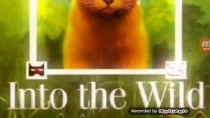 Коты-Воители "Стань диким!" Серия 1