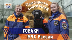 МЧС ВЛОГ: помощники спасателей - СОБАКИ МЧС РОССИИ