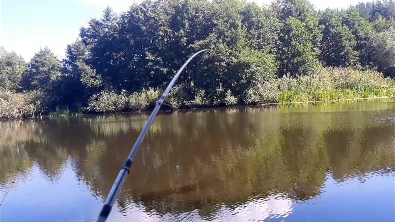 НАЛОВИТЬ ЛЮБОЙ ЦЕНОЙ!!! смотреть онлайн