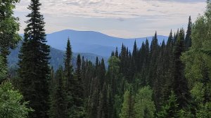 Фрагмент поездки на Ортон(Кемеровская область) на Sigma sport (Альфа). Часть 6