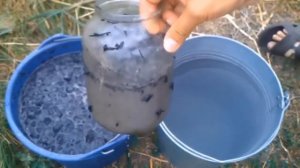 ОРГАНИЧЕСКИЕ УДОБРЕНИЯ СВОИМИ РУКАМИ КАК СДЕЛАТЬ И КОГДА ПРИМЕНЯТЬ