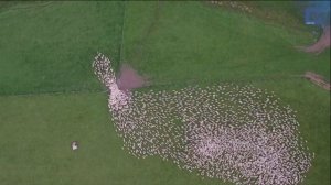 Гибкий Чаплинъ - Винты свинцовые