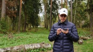 Кафе Mama Roma. Как испортить свой день? Отзыв посетителя