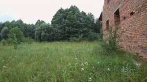 Заброшенная водяная мельница