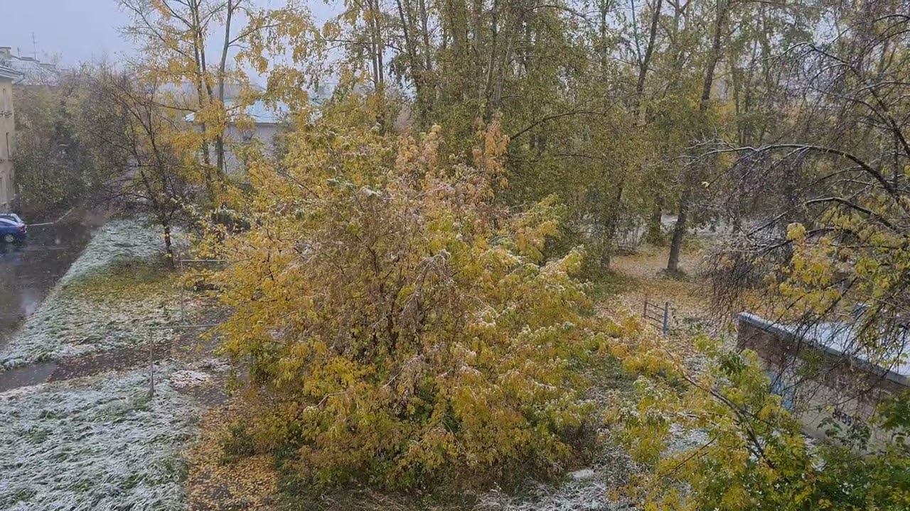 Сибирские просторы. Северск. С первым снегом!