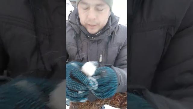 Как почистить щуку 15кг смотреть онлайн