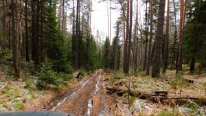 Сказочный маршрут на УАЗ Патриот разной степени подготовки