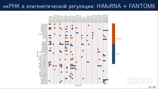 Юлия Медведева. Длинные нкРНК в норме и патологии. смотреть онлайн