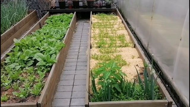 КОПАТЬ И ПРОПАЛЫВАТЬ НЕ НУЖНО | ГРЯДКИ-КОРОБА СДЕЛАЛИ САМИ