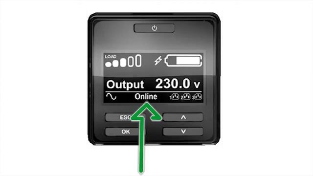 APC Smart-UPS SRT6KRMXLI 6000VA RM 230V смотреть онлайн