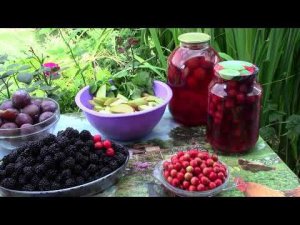 Компот из ежевики, сливы, яблока и боярышника.  Ассорти.