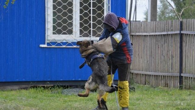 Фотопрезентация. Вирза Из Тигровой Династии смотреть онлайн