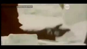 Сенсационные новости с Марса! Существа, населяющие Марс! На планете обнаружены с