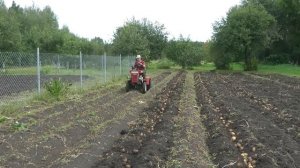 Агромаш МТ 110 , мотоблок и Я! На уборке картофеля 2023