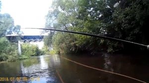 Ловля голавля нахлыстом на Проне в Рязанской области