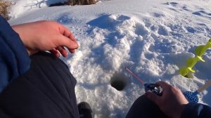 Главное процесс! Зимняя рыбалка на реке Нейва и сказочная природа