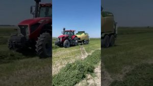 Пресбодборщик Кроне с обмотчиком. Крутим сенаж из чистого люцерна. Урожай 2022 г.
