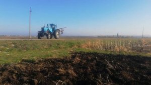 Вспашка подсолнуха трактором МТЗ 52
