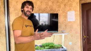 МИКРО ЗЕЛЕНЬ ДОМА, ЭКСПЕРИМЕНТ. Выращивание микро зелени в домашних условиях. Бизнес на микро зелен