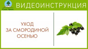 Подготовка кустов к зиме.  Телепередача Земля Уральская. Архив 2011 год