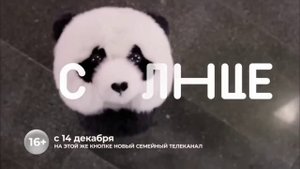 Последние минуты вещания (Канал Disney, 13-14.12.2022) 00:00 МСК