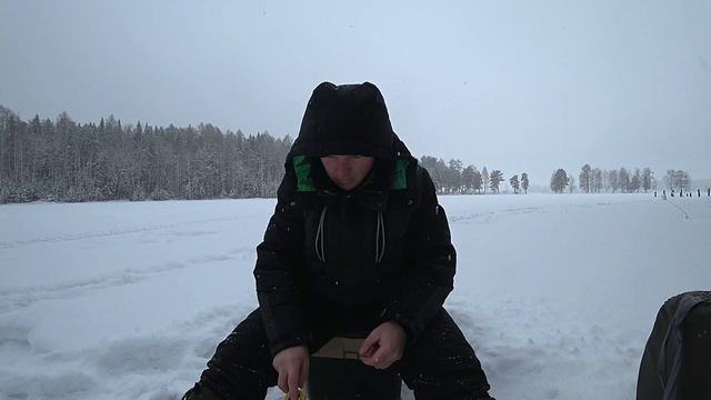 ПОИСК ОКУНЯ ЗИМОЙ/АТАКА ЕРШЕЙ/ЗИМНЯЯ РЫБАЛКА В ЯНВАРЕ...