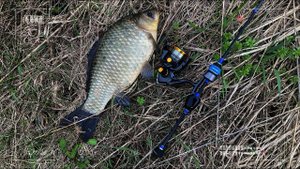 Мормышинг в любимых канавах