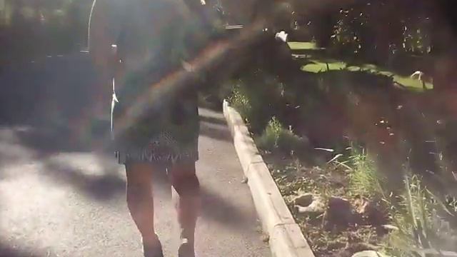 Крымский зоопарк смотреть онлайн