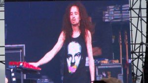 Animal Jazz - Три полоски