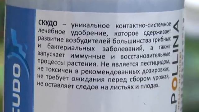 Дачные советы Галины Старосельцевой Июнь 10-2021 смотреть онлайн