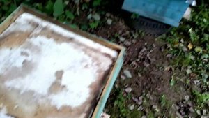 подготовка пчёл к зиме!