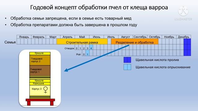 Пчеловодство в Германии. Годовой концепт обработки от клеща варроа смотреть онлайн