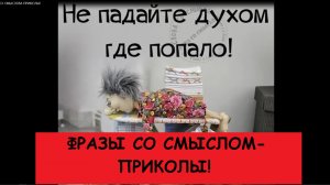 ФРАЗЫ СО СМЫСЛОМ-ПРИКОЛЫ! ЮМОР!