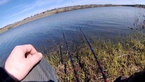 Карась на поплавочную удочку в мае