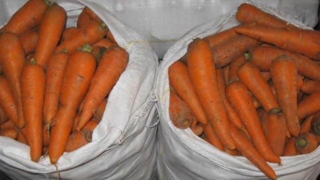 Морковь. Почему сохнет морковь при хранении? ! смотреть онлайн