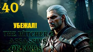 ВЕДЬМАК ВСТРЕТИЛ ЭЛЬФОВ - THE WITCHER 2 ASSASSINS OF KINGS - ПРОХОЖДЕНИЕ НА 100 ПРОЦЕНТОВ #40