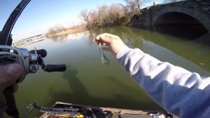 How To Fish The Texas Rig In Winter To Catch More Fish