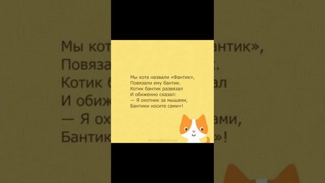 стихи про кошек