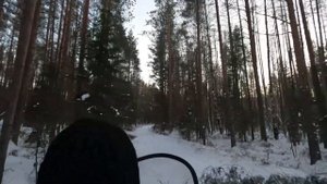 Просто покатушки на снегоходе рысь