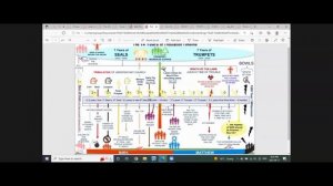 Tribulation Timeline Overview