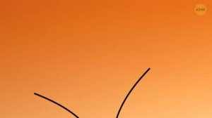 Насекомые, которые жили при динозаврах, существуют и по сей день