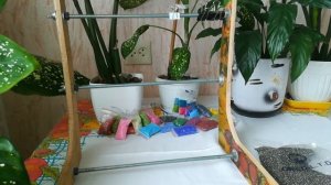 Картина из бисера на станке "БЕЗЗУБИК" - Урок 1