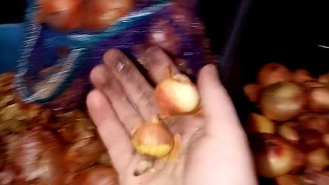 Я не ХВАЛЮСЬ, но у меня есть, что вам ПОКАЗАТЬ. смотреть онлайн