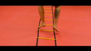 Координационная лестница. Упражнения  для начинающих бойцов.