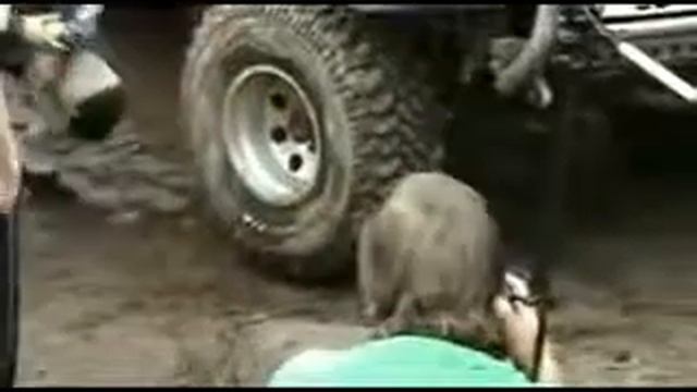 Прикол 2018 №1 (Как накачать колесо без насоса) смотреть онлайн